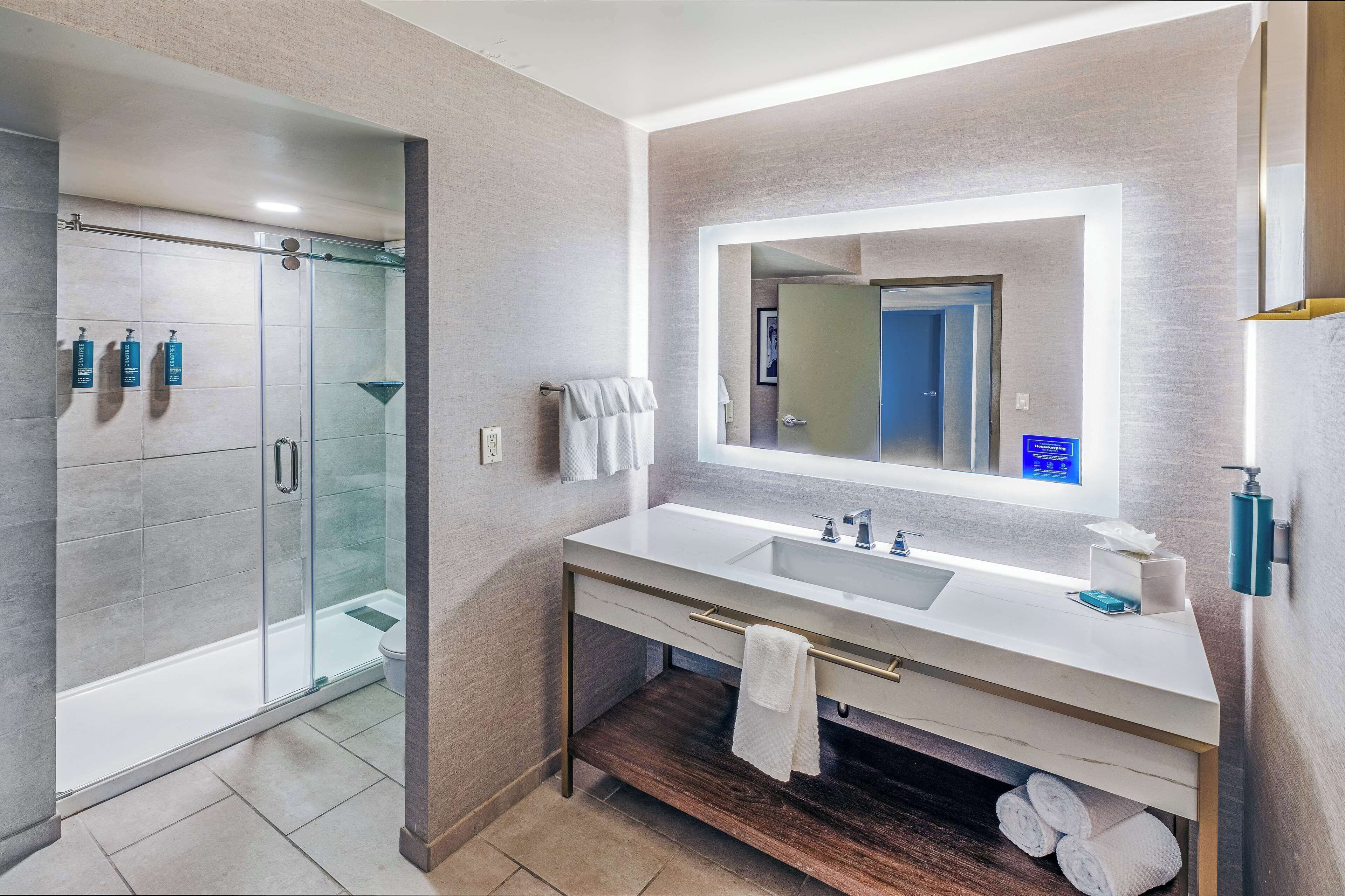 deluxe suite, 1 king bed (2 rooms) | bathroom shower