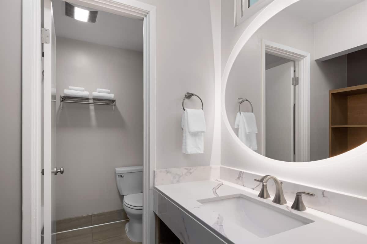 combined shower/bathtub, free toiletries, hair dryer, towels