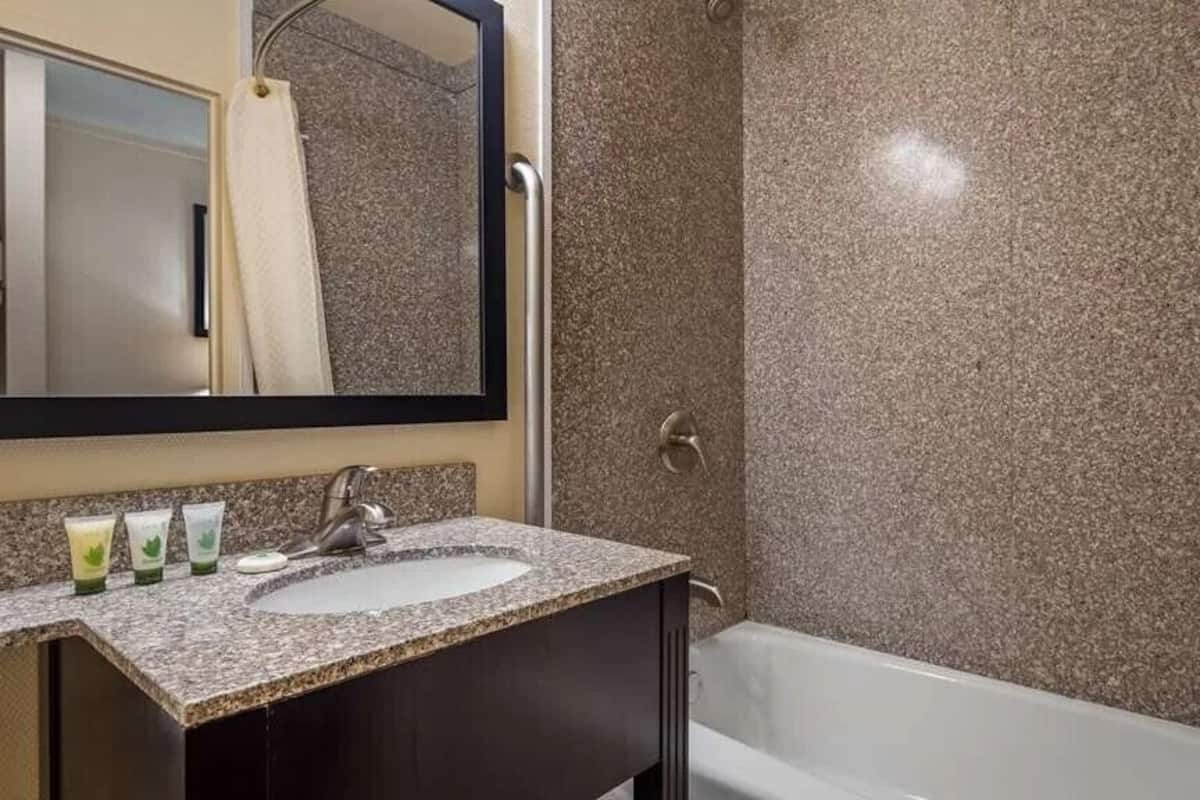 Combined shower/bathtub, deep-soaking bathtub, free toiletries
