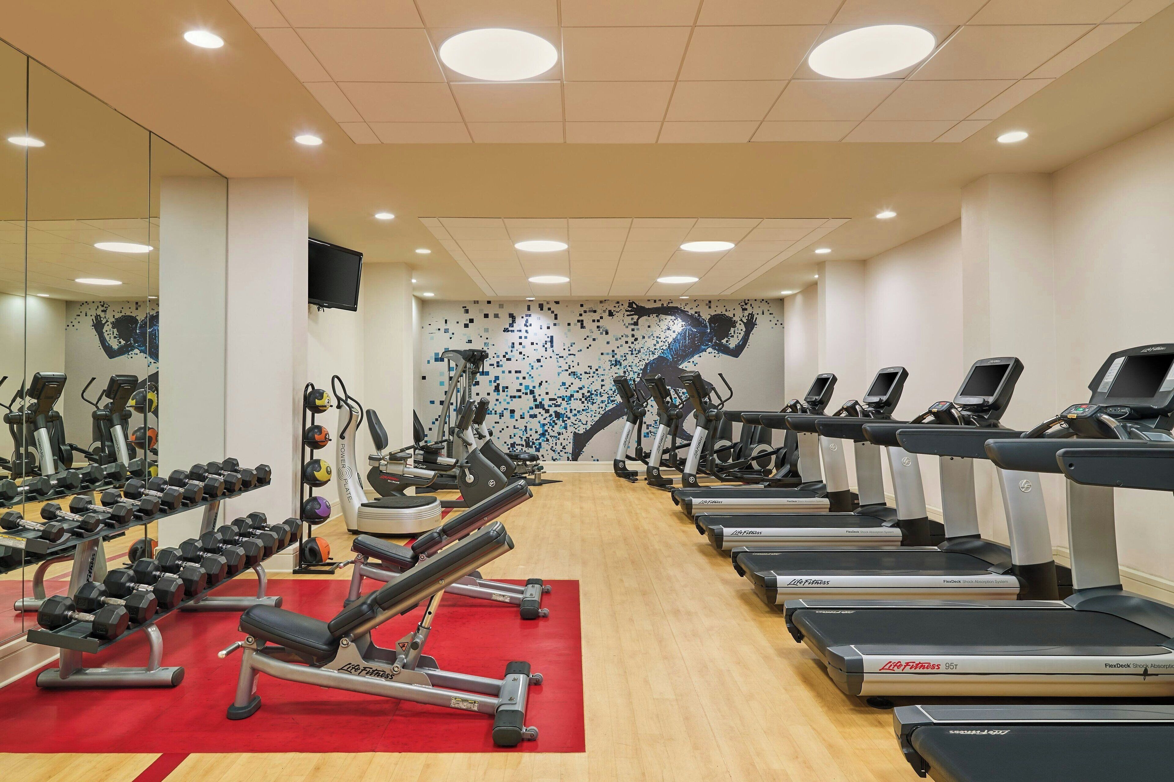 A gym with treadmills, dumbbells, and exercise equipment.