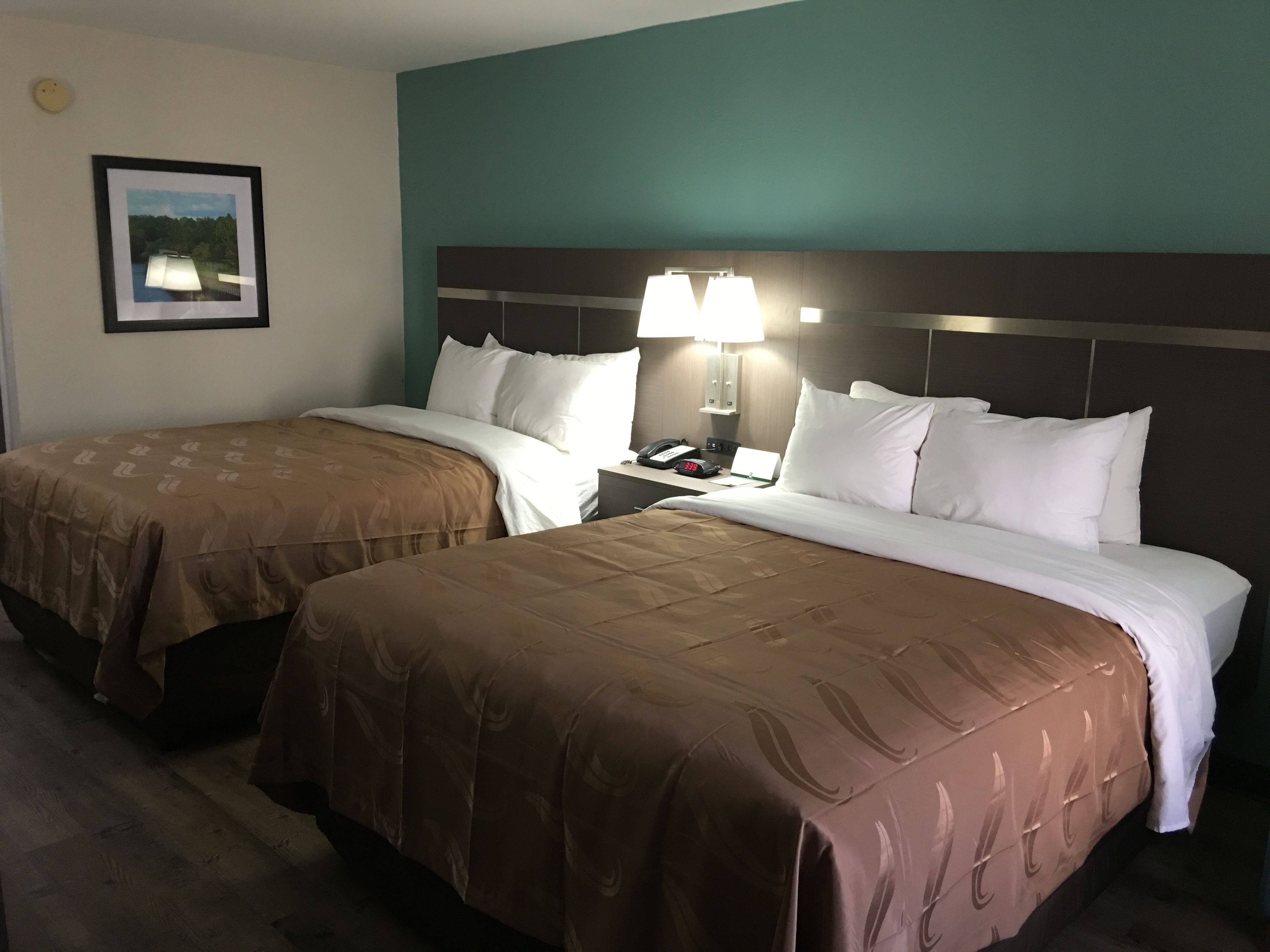 Two double beds with brown and white bedding, a nightstand with a lamp, a framed picture on the wall, and a teal-colored wall.