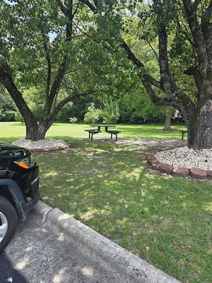 BBQ/picnic Area