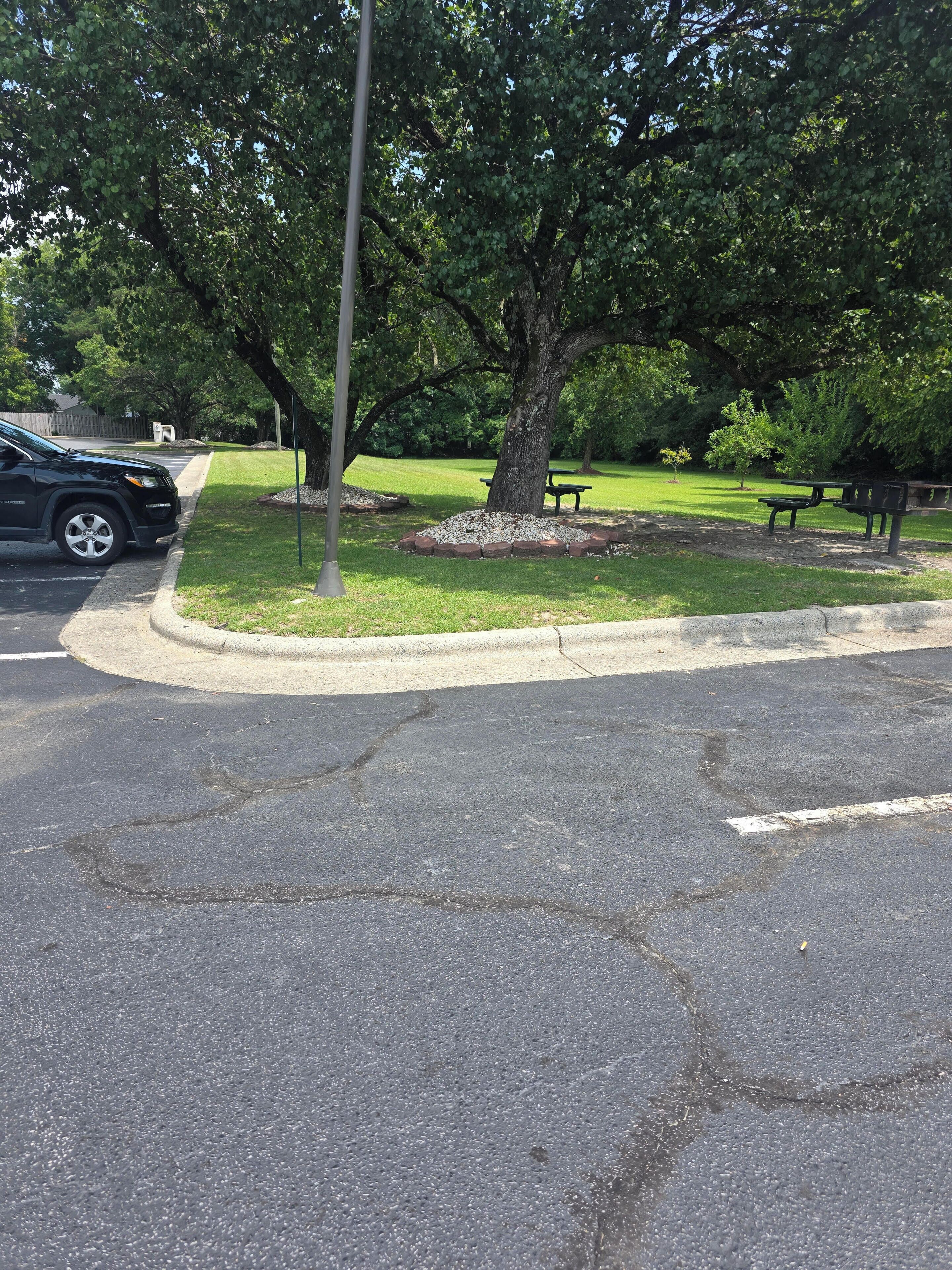 Ein Parkplatz mit Baum und Picknicktischen.