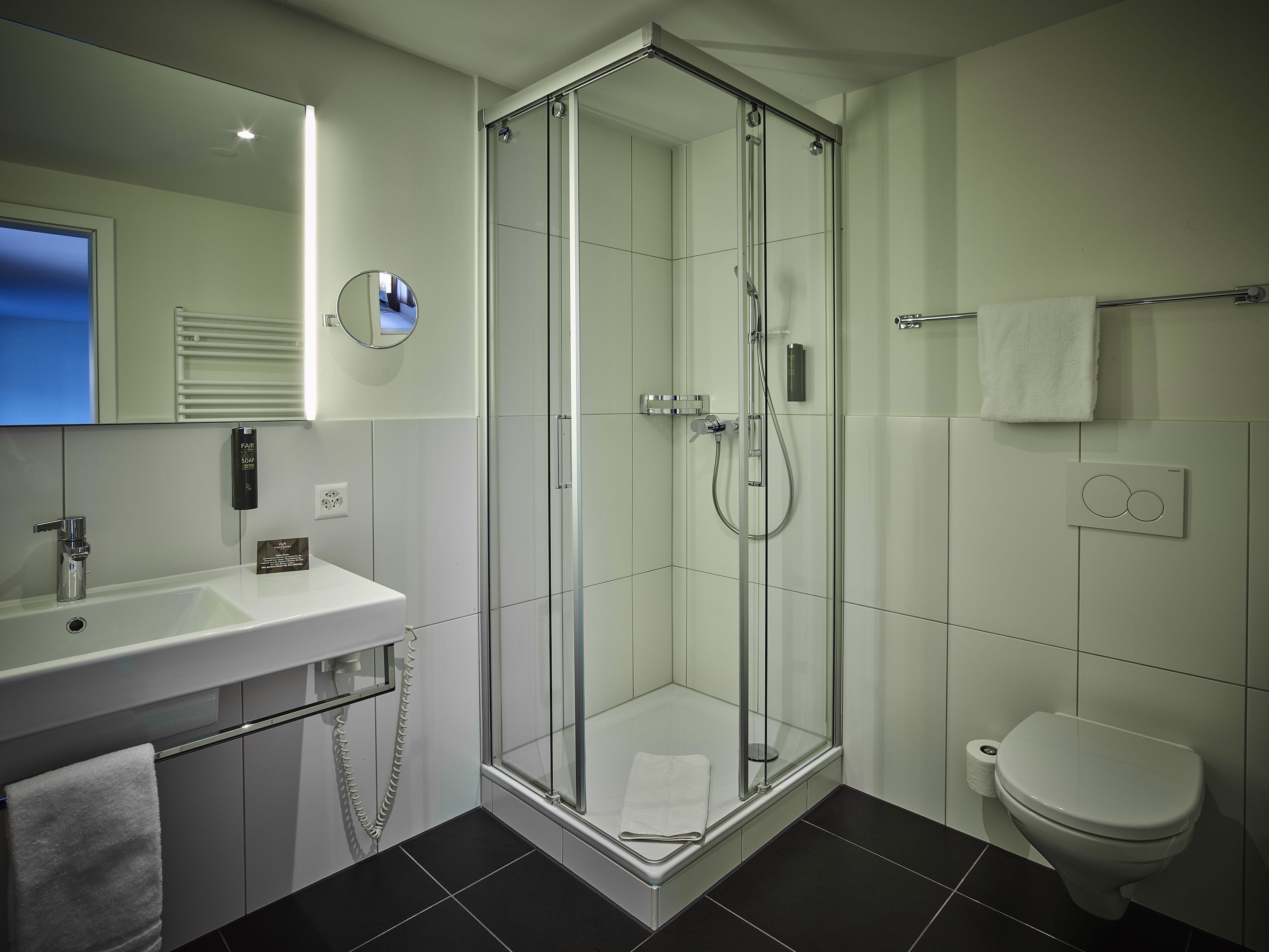 A modern bathroom with a glass-enclosed shower, a white sink, and a toilet.