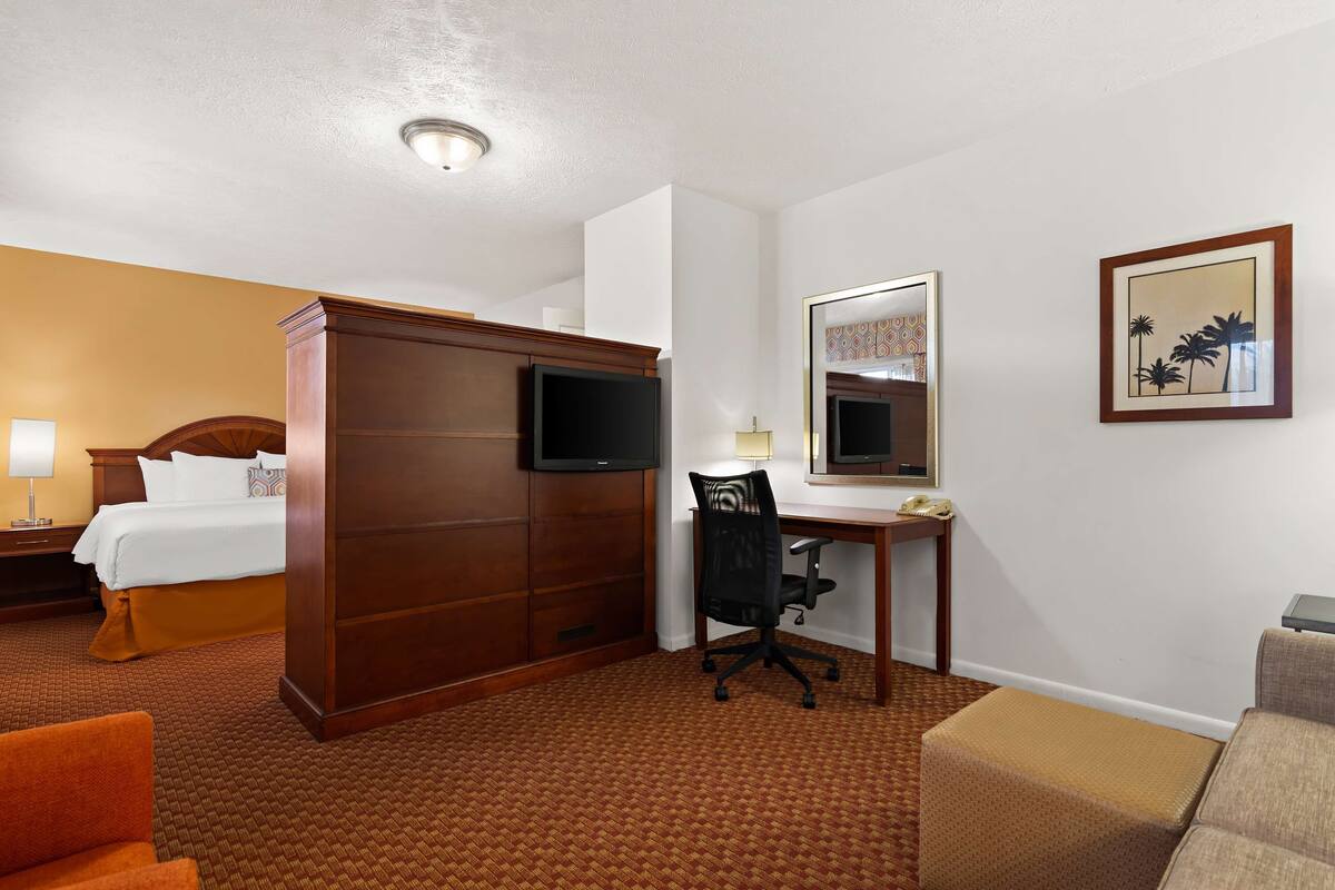 Une chambre d’hôtel comprenant un lit, un bureau avec une chaise, une télévision, un miroir et un tableau encadré au mur.