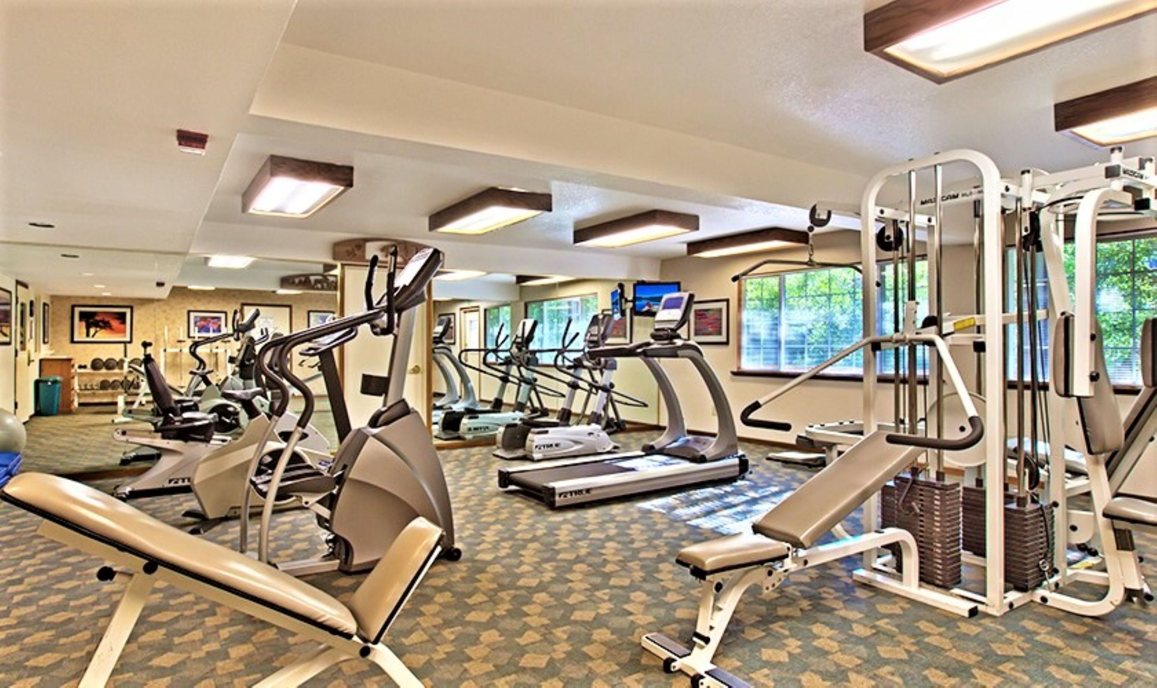 A gym with various exercise machines, a patterned carpet, and large windows with natural light.