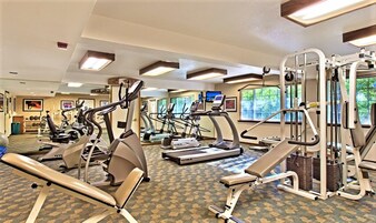 A gym with various exercise machines, a patterned carpet, and large windows with natural light.