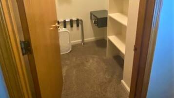A small, carpeted closet with a hanging rack, shelves, and a small storage box.