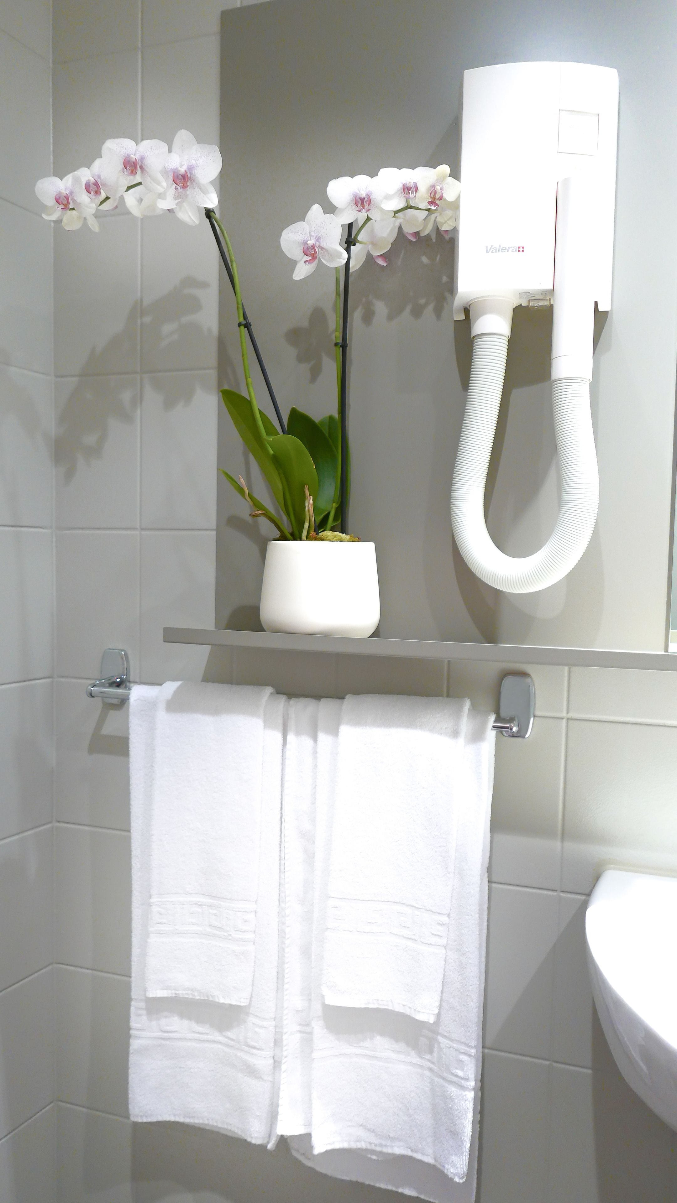 combined shower/bathtub, free toiletries, towels