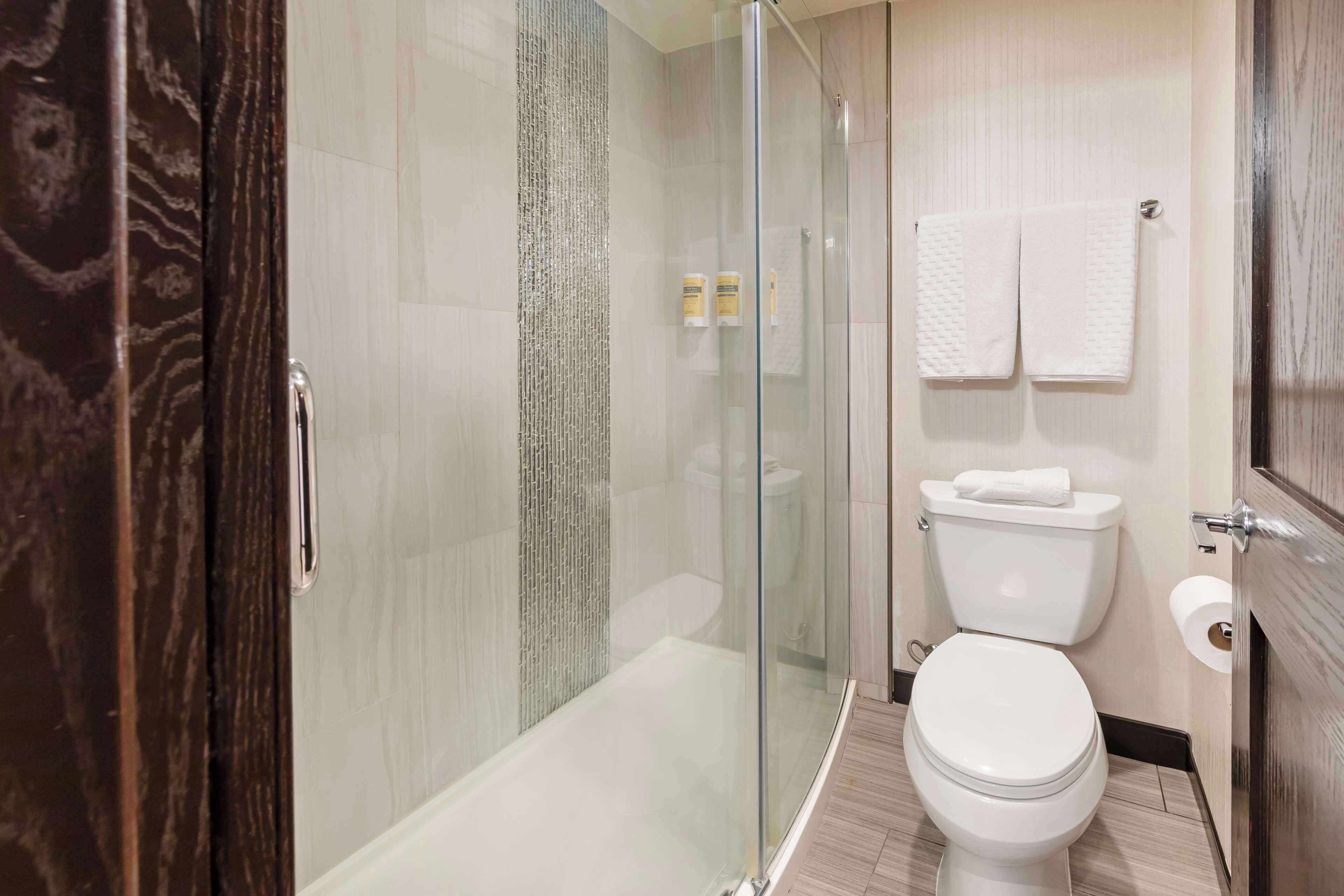 suite, 1 king bed, non smoking, jetted tub (with sofabed) | bathroom | deep-soaking bathtub, free toiletries, hair dryer, towels