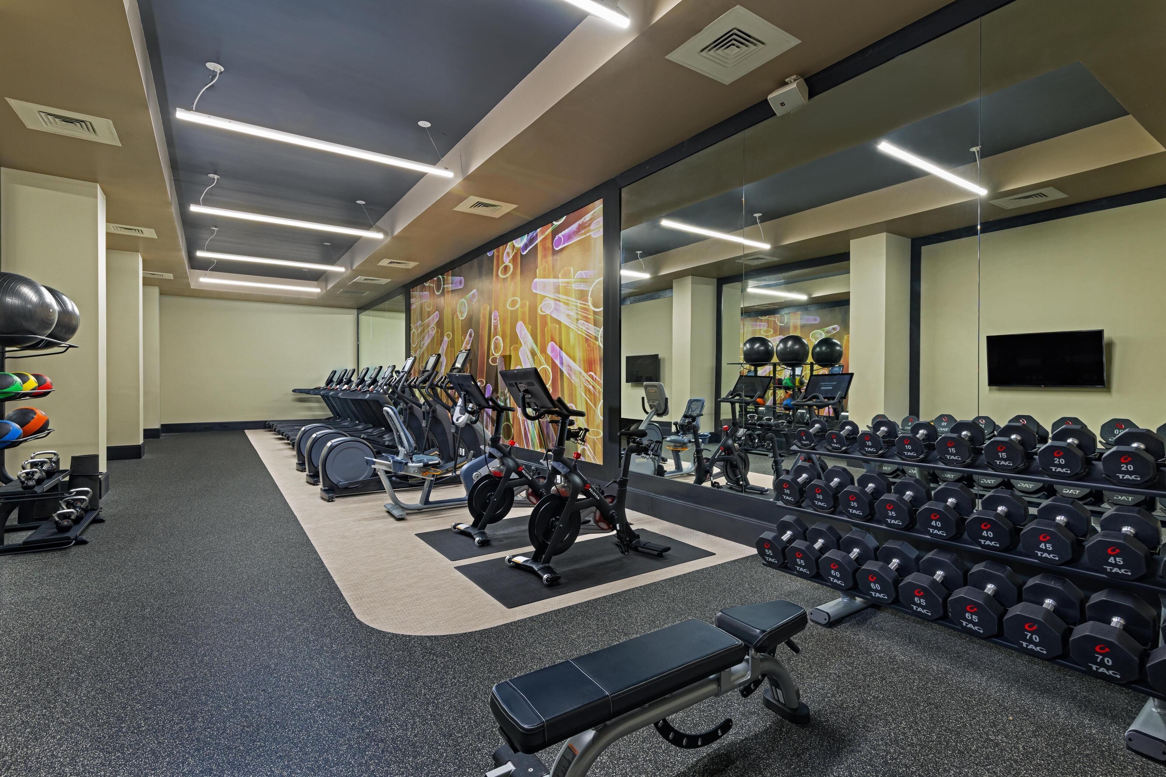 A gym with treadmills, stationary bikes, and a variety of dumbbells.