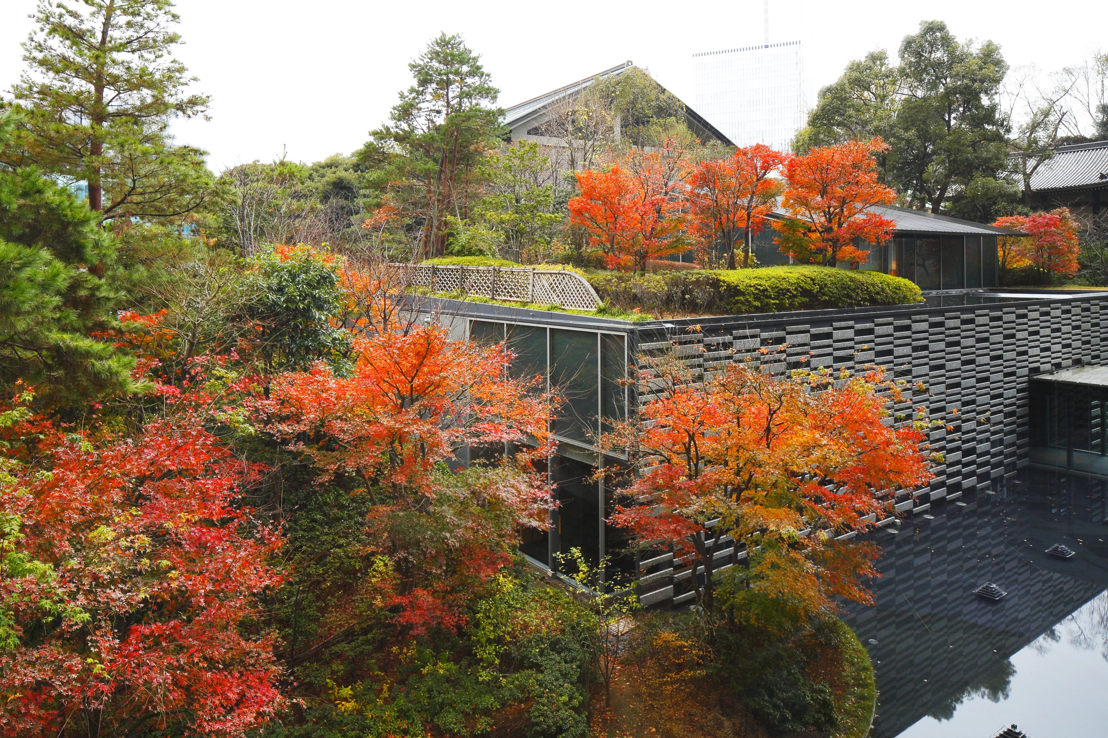 A traditional Japanese building with a modern glass extension, surrounded by autumn foliage and a reflective water feature.
