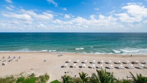 A beach with white umbrellas and lounge chairs, a sandy shore, and the ocean. - Beachcomber Resort & Club (Pompano Beach)