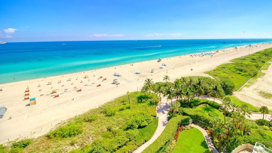 Cavalier Hotel South Beach