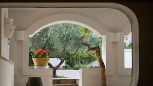 A view through an arched window of a staircase leading to a garden with a tree and a potted plant. - Il Melograno (Monopoli)