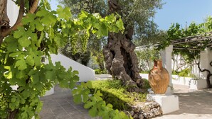A courtyard with a large tree, a white wall, and a large vase on a pedestal. - Il Melograno (Monopoli)