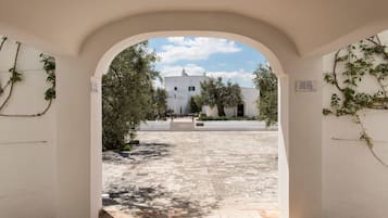 Cortile