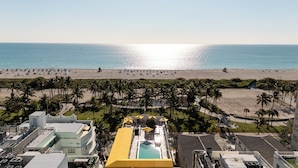 A resort with a pool, beach, and palm trees. - Leslie Hotel Ocean Drive (Miami Beach)