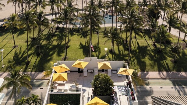 A beach view with palm trees, a pool area with umbrellas, and a clear sky. - Leslie Hotel Ocean Drive (Miami Beach)