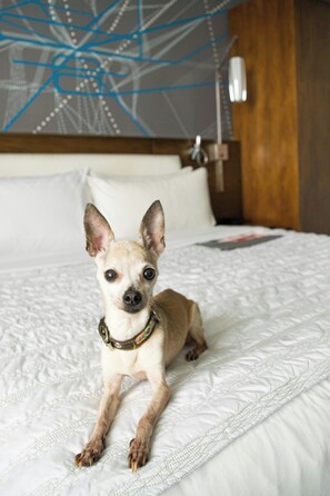 Property amenity - Le Meridien Atlanta Perimeter by Marriott (Atlanta)