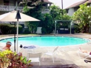 Outdoor pool, sun loungers