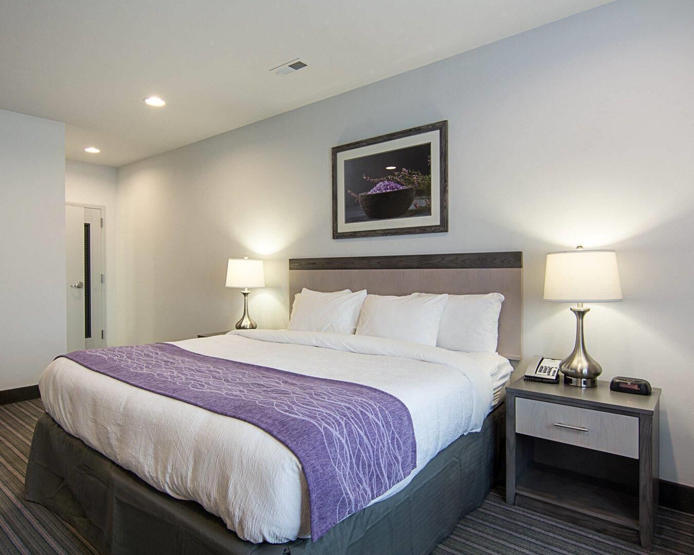 A hotel room with a bed, two bedside tables, a nightstand, a framed picture on the wall, and a door.