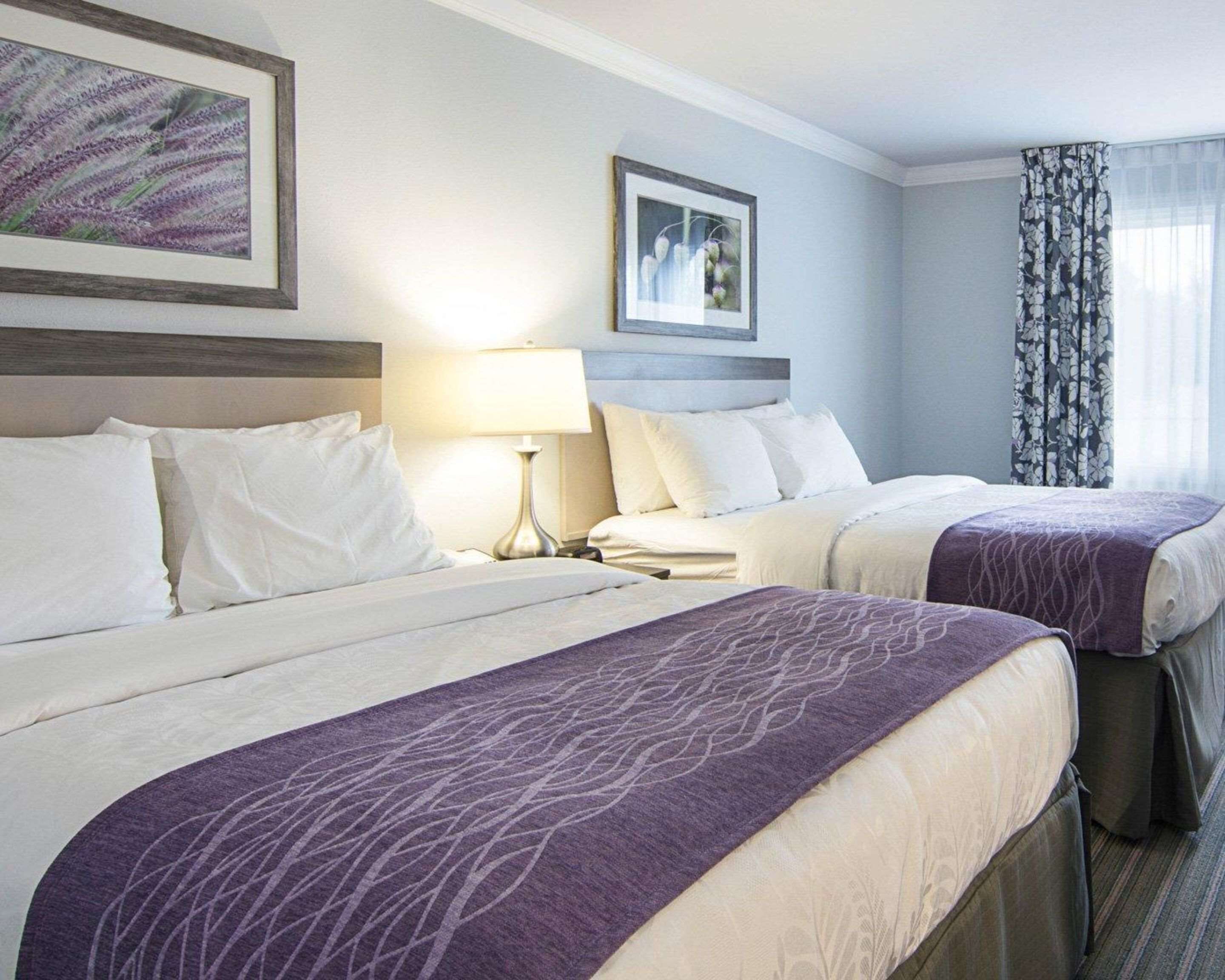 premium bedding, pillow-top beds, in-room safe, desk