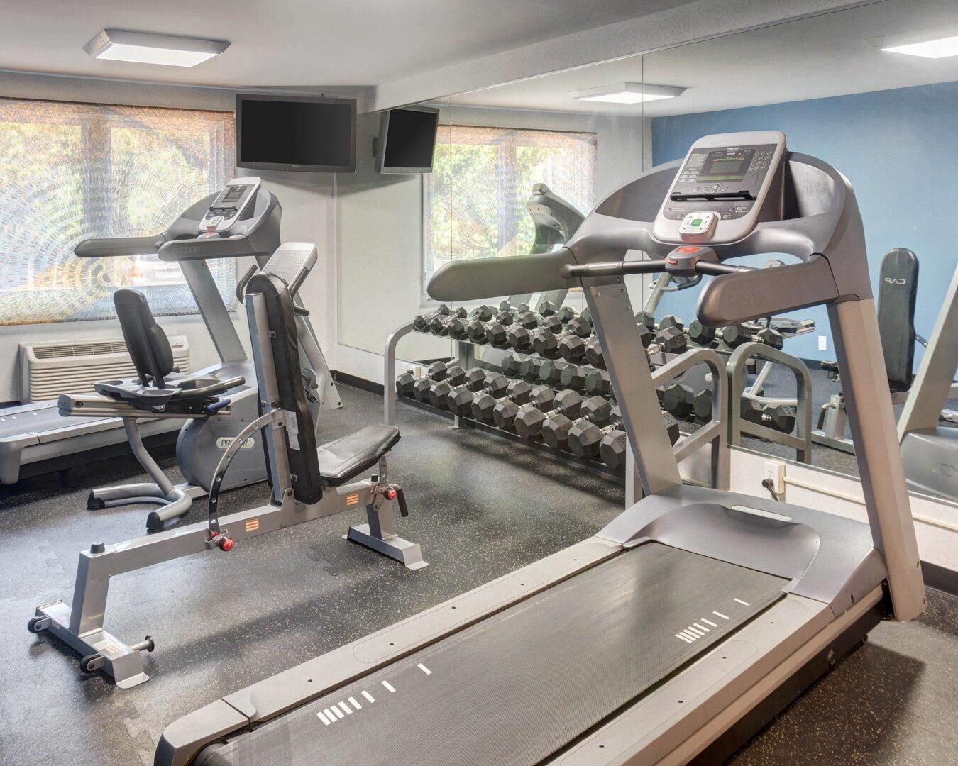 Un gimnasio con cintas de correr, máquinas de pesas y un estante con mancuernas.