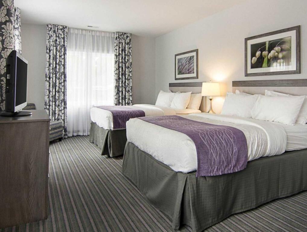 Premium bedding, pillowtop beds, in-room safe, desk