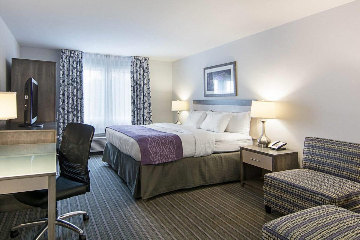 A hotel room with a bed, desk, chair, and a small sofa.