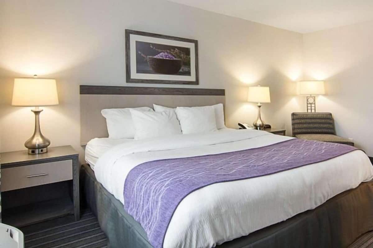 A hotel room with a bed, two bedside tables with lamps, a chair, and a framed picture on the wall.