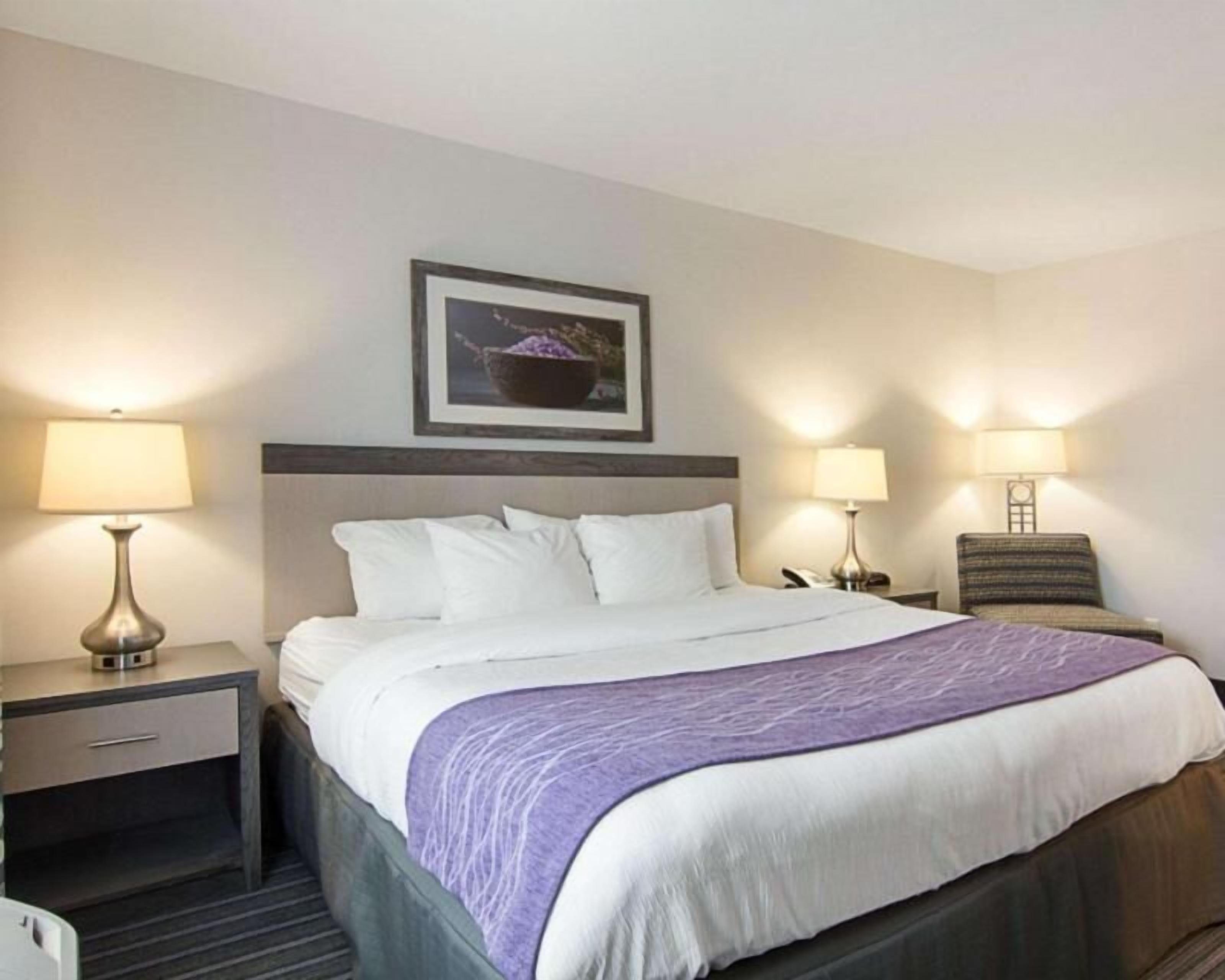 Premium bedding, pillowtop beds, in-room safe, desk