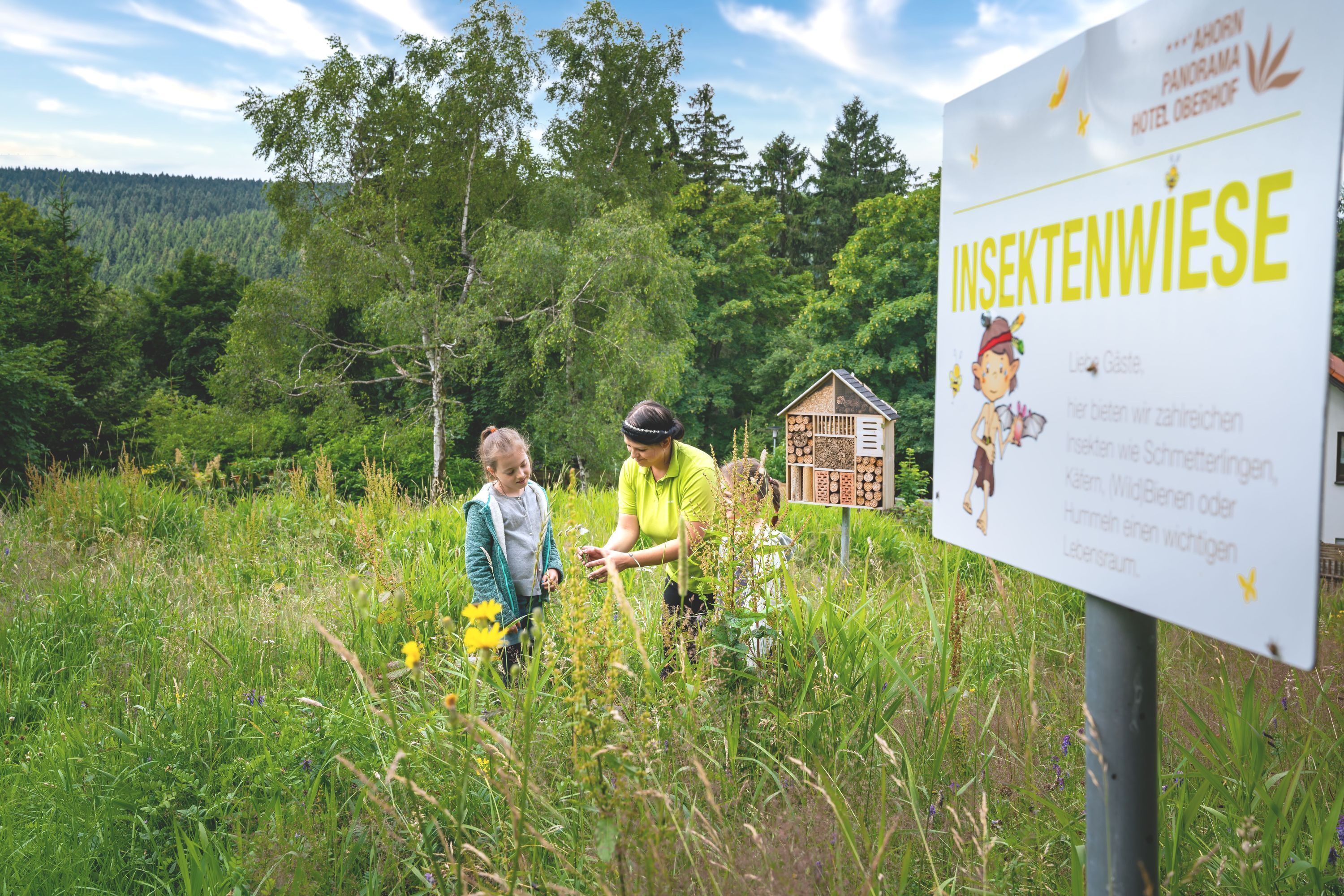 Ein Schild mit dem Text 'INSEKTENWIESE' und Illustrationen von Insekten.