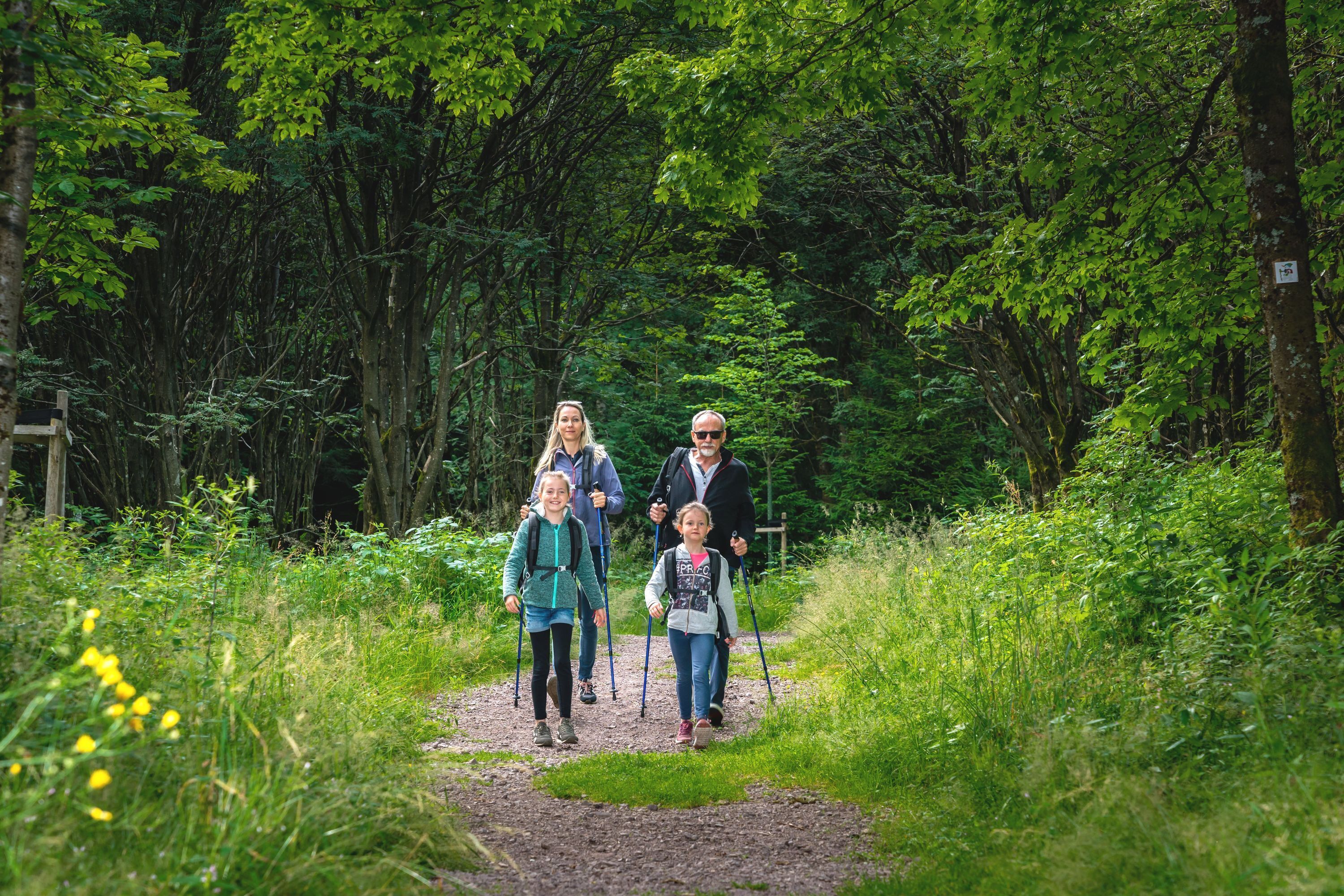 A family walking on a forest path.