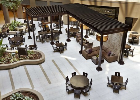 Embassy Suites by Hilton Crystal City National Airport - Image 3
