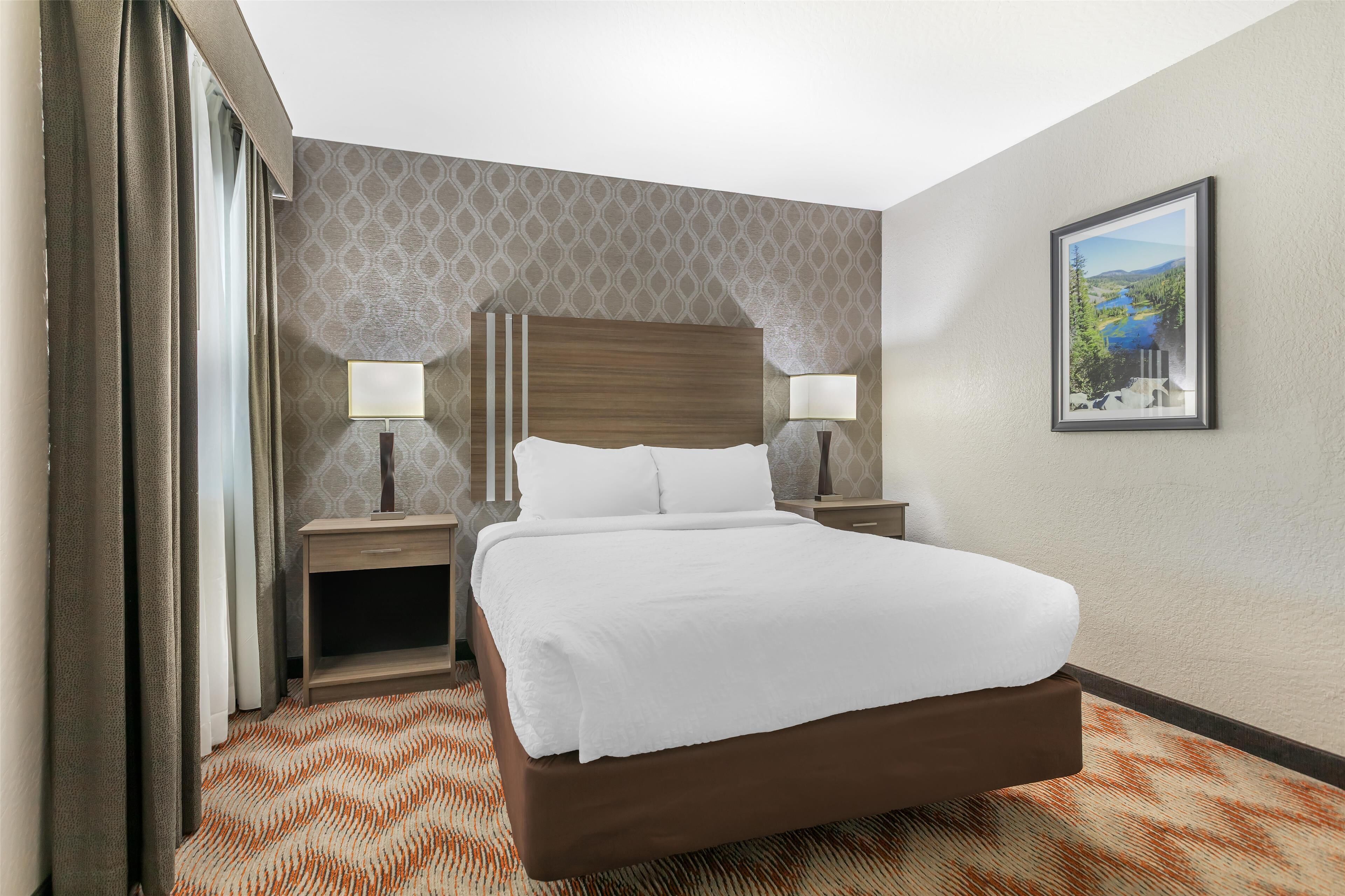 A hotel room with a large bed, two bedside tables with lamps, a patterned carpet, and a framed picture on the wall.