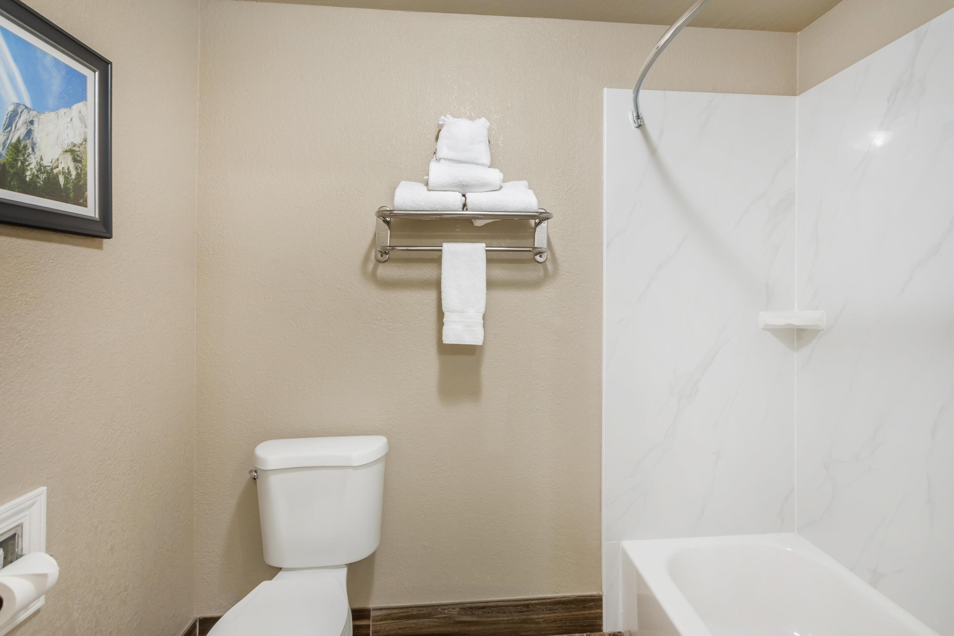 Un baño con inodoro, toallero con toallas dobladas, ducha e imagen enmarcadas en la pared.