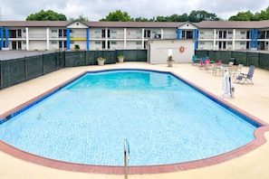 Outdoor pool, sun loungers
