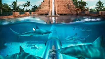 Un tobogán acuático con tiburones, una piscina grande y una estructura en forma de pirámide al fondo.