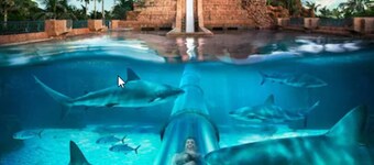 Comfort Suites Paradise Island