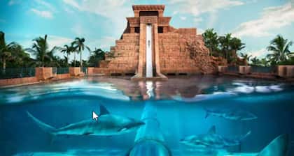 Comfort Suites Paradise Island