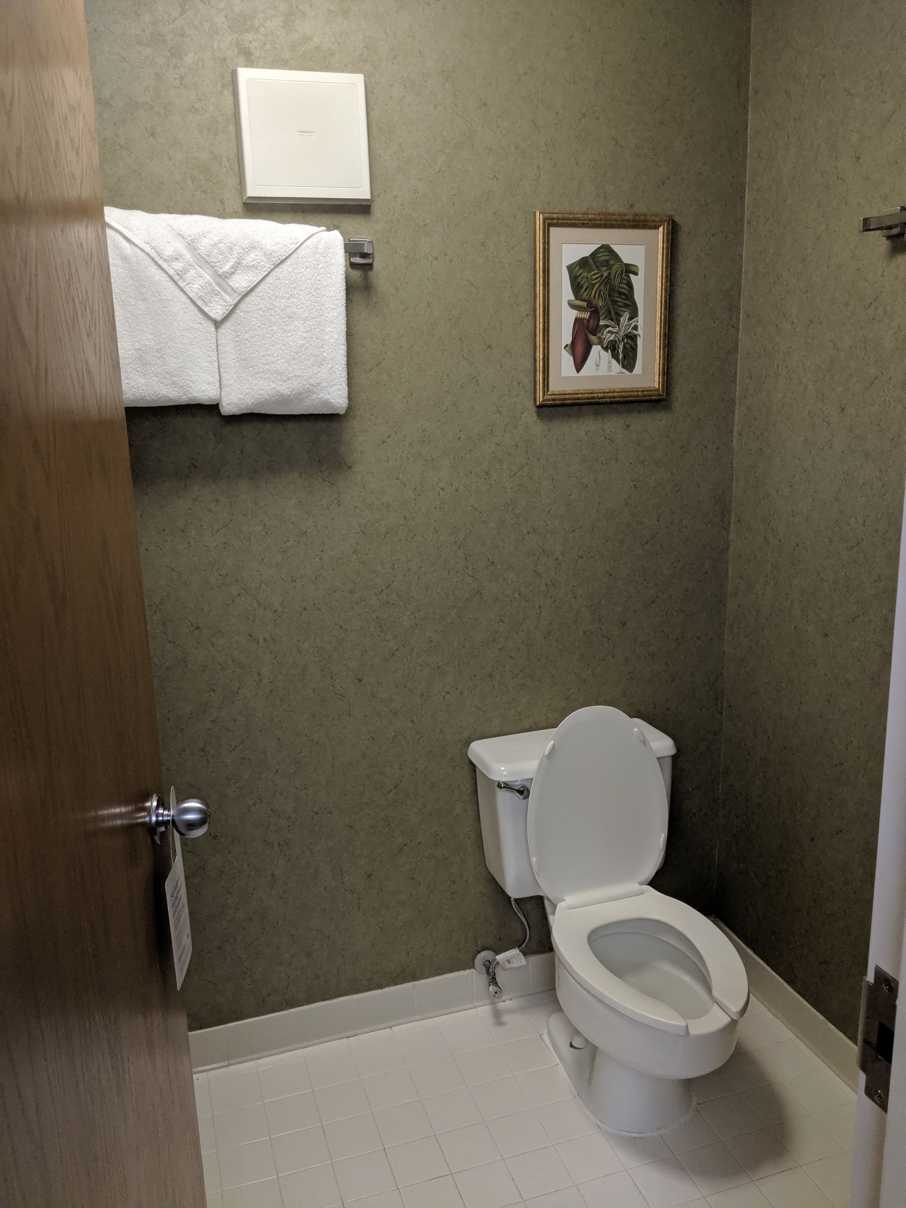 combined shower/bathtub, free toiletries, hair dryer, towels