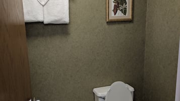 Un baño con un inodoro, un cuadro en la pared y una toalla colgada en un perchero.