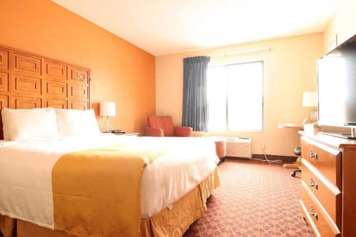 Desk, iron/ironing board, free WiFi, bed sheets