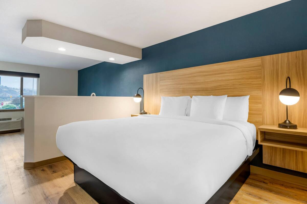 Suite, 1 Tempat Tidur King, Bebas Asap Rokok (Efficiency) | Meja kerja, tirai kedap cahaya, setrika/meja setrika, dan Wi-Fi gratis