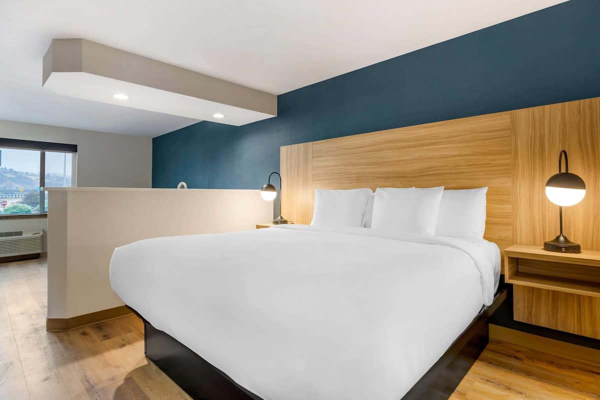 Suite, 1 King Bed, Non Smoking (Efficiency)