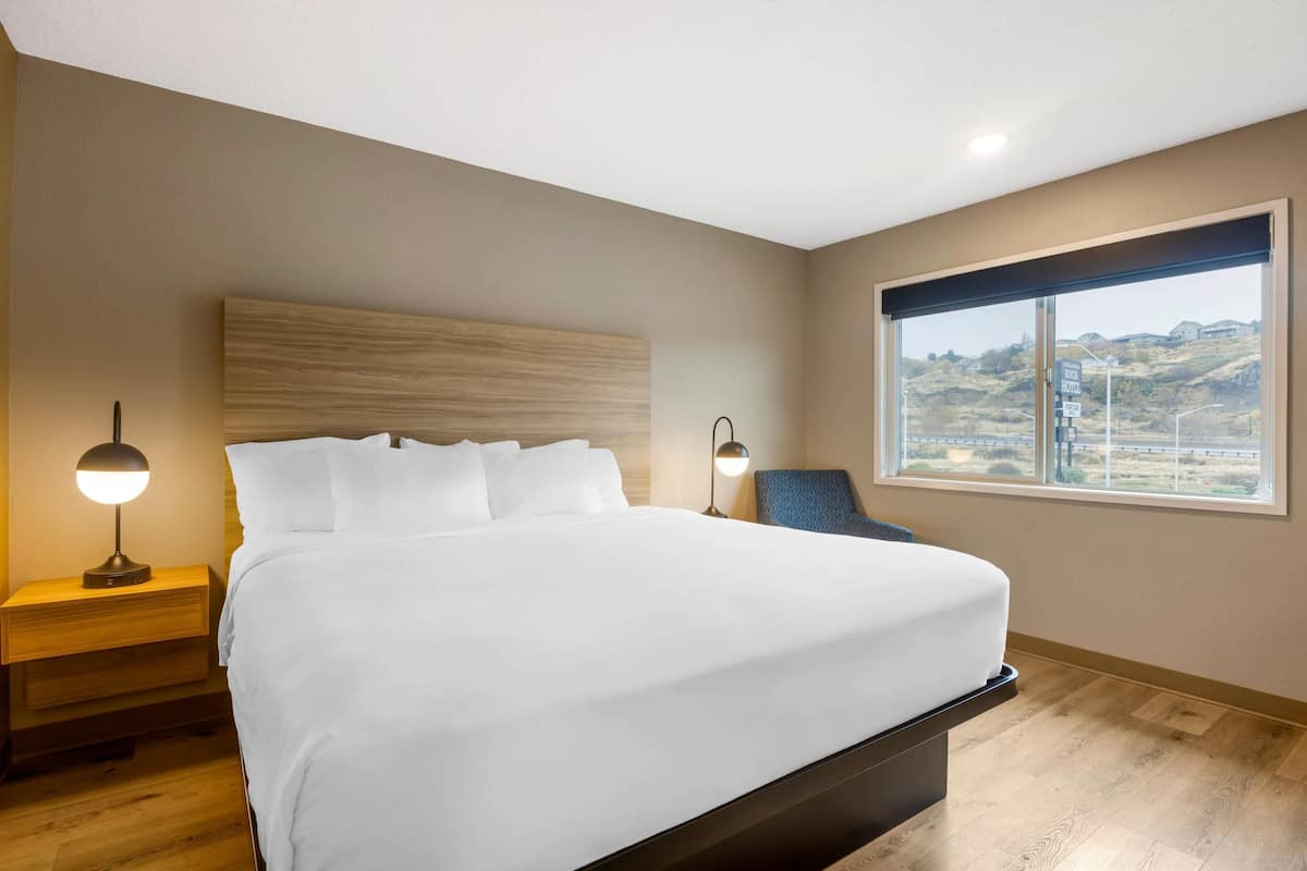 Standard Room, 1 King Bed, Non Smoking