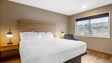 Standaard kamer, 1 kingsize bed, niet-roken | Een bureau, verduisterende gordijnen, een strijkplank/strijkijzer