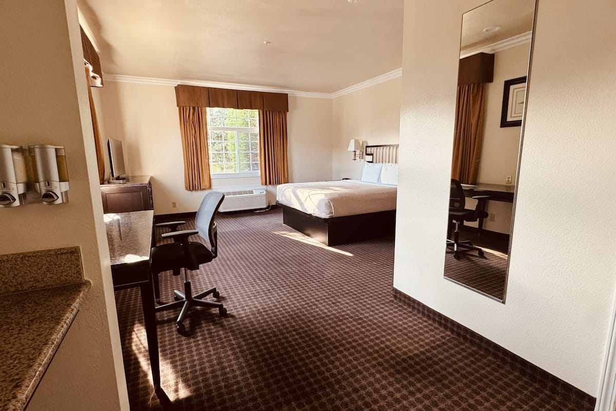 A hotel room with a bed, desk, chair, and a mirror.