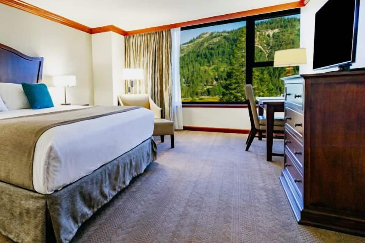 Suite, 1 Bedroom